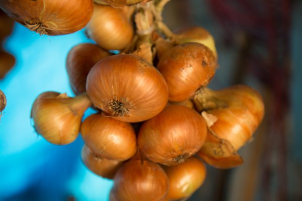Kraken istand onion ссылка