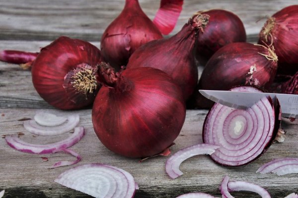 Kraken 16 onion